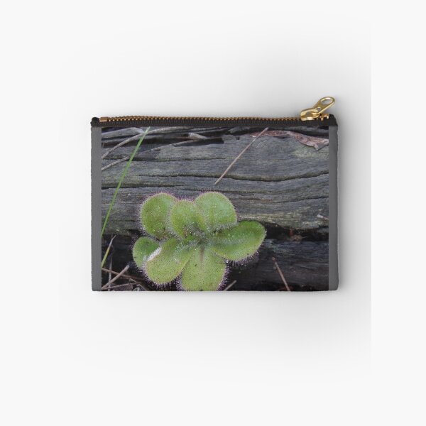 Item preview, Green Drosera designed and sold by lezvee.