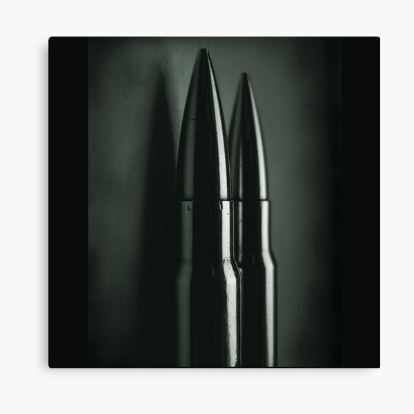 Ammo Canvas Print