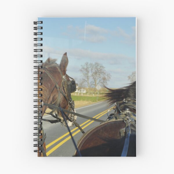 Item preview, Amish Buggy Ride  designed and sold by clizzio.