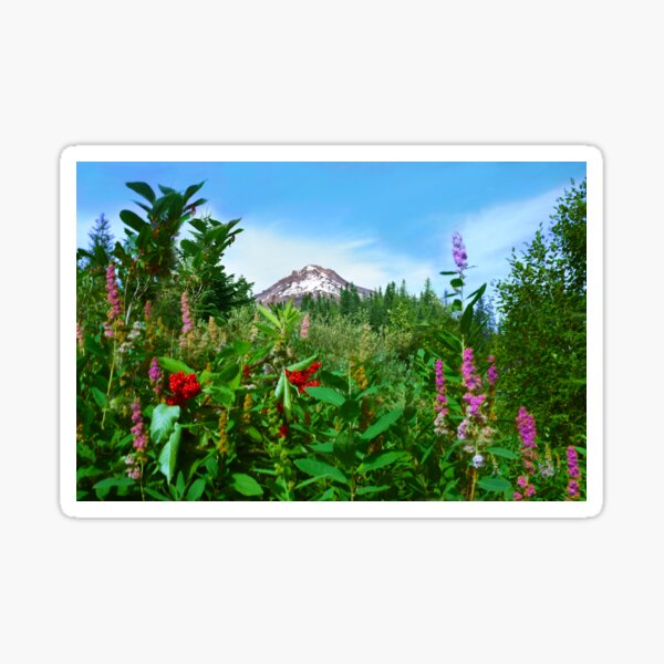 Mirror Lake Sticker