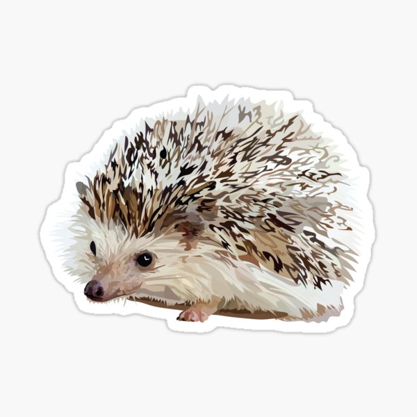 Hedgehog Sticker