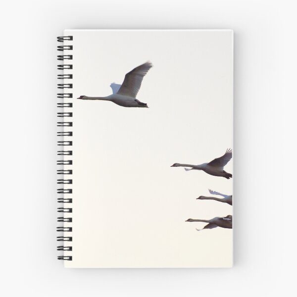 Item preview, Powered Flight designed and sold by JoeGeraci.