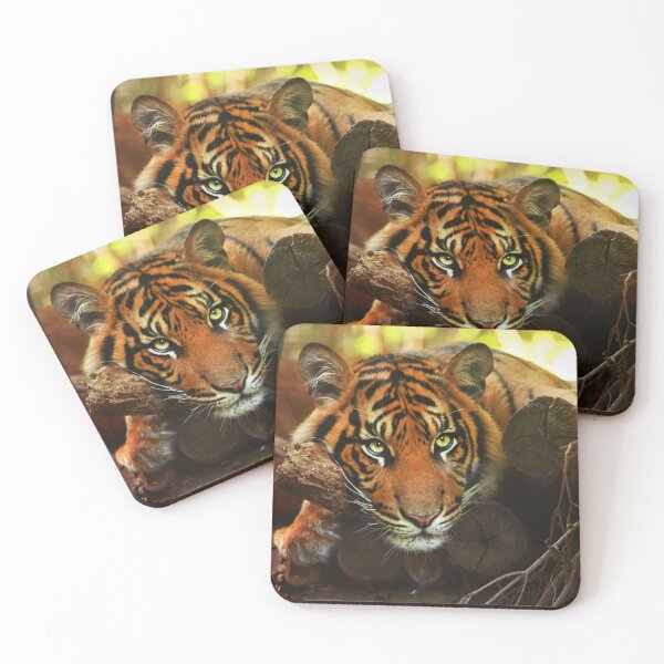 Item preview, Tiger - Model designed and sold by TVD-Photography.