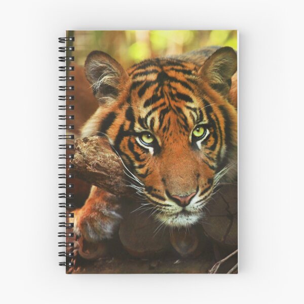 Item preview, Tiger - Model designed and sold by TVD-Photography.