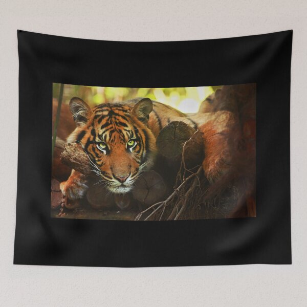 Item preview, Tiger - Model designed and sold by TVD-Photography.