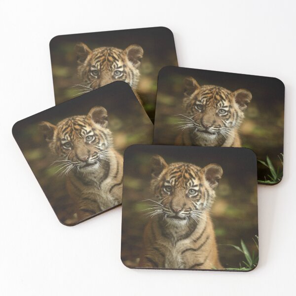 Item preview, Baby Tiger Portrait III designed and sold by TVD-Photography.
