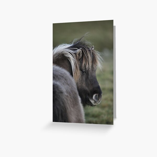 Item preview, Shetland Pony designed and sold by Frances144.