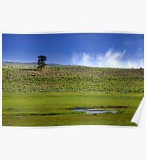 Scenic landscape Poster