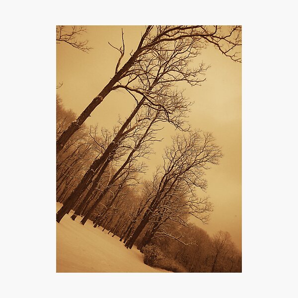 It was Only a Dream... Photographic Print