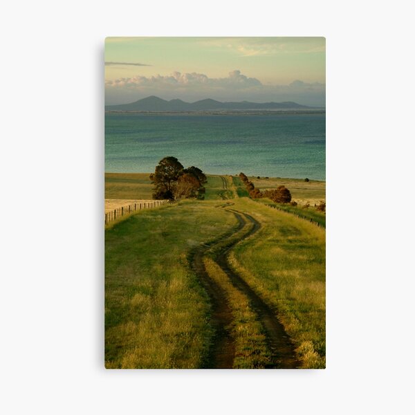 "Spray Farm Lane,Bellarine Peninsula" Canvas Print for Sale by
