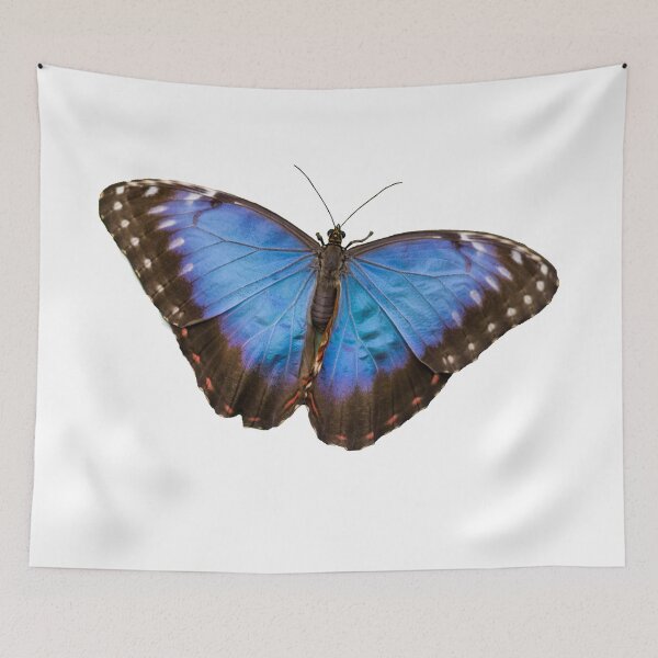 Item preview, Blue butterfly designed and sold by iCimages.net.