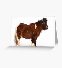 Pony in the Snow Greeting Card