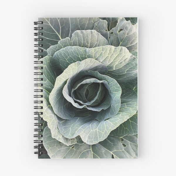 Item preview, Top view of green growing cabbage. designed and sold by VadimFromm.