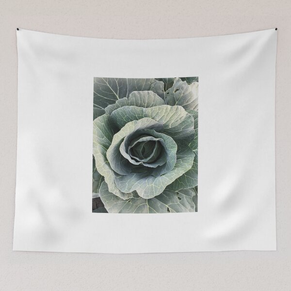 Item preview, Top view of green growing cabbage. designed and sold by VadimFromm.