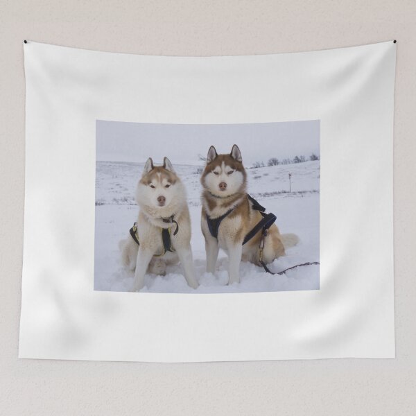Artikelvorschau, Schlittenhunde im Schnee entworfen und verkauft von GingerandHero.