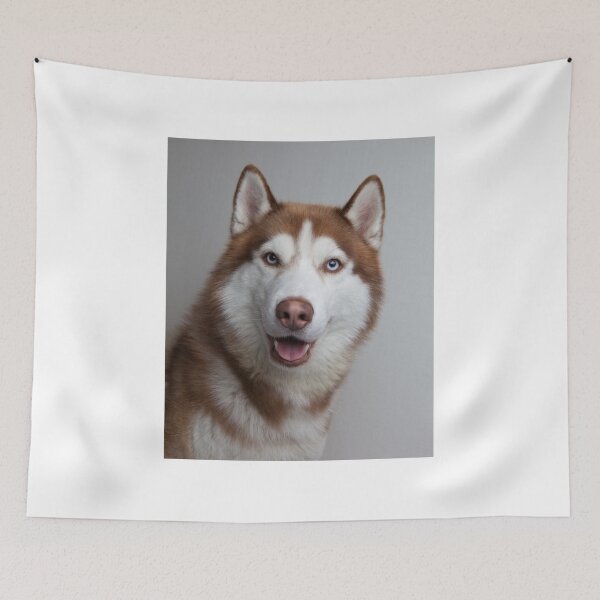 Item preview, Hero the Siberian Husky  designed and sold by GingerandHero.