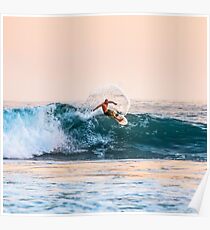 Wave to surf Poster