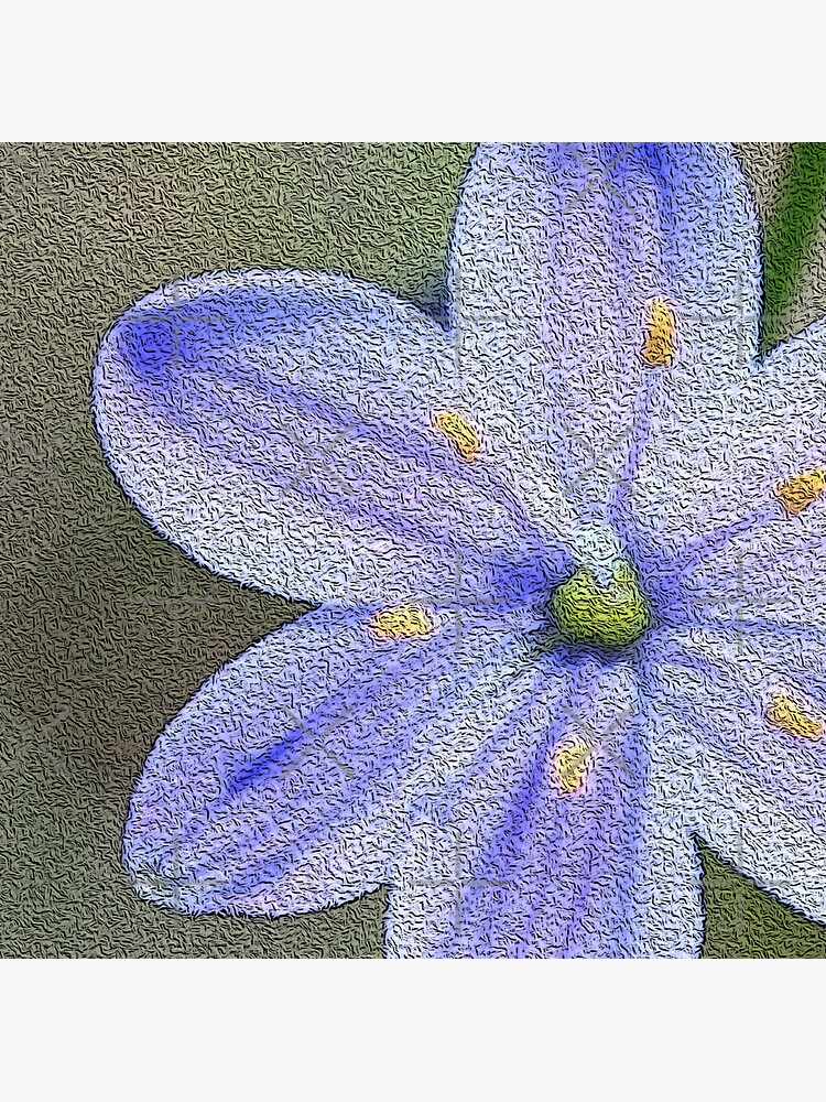 Blue Stars by LisaGHunter