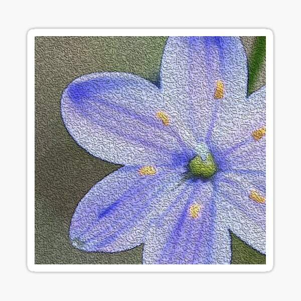 Blue Stars Sticker
