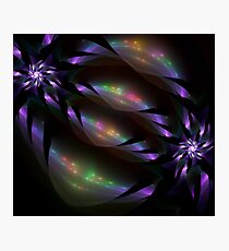 Translucent Photographic Print