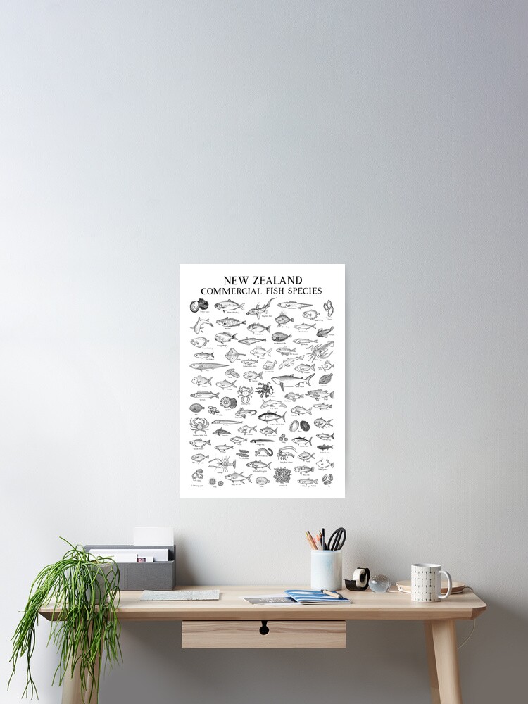 Thumbnail 1 of 3, Poster, New Zealand Commercial Fish Species designed and sold by jendraws.