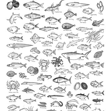 Fishing New Zealand Art Board Prints for Sale