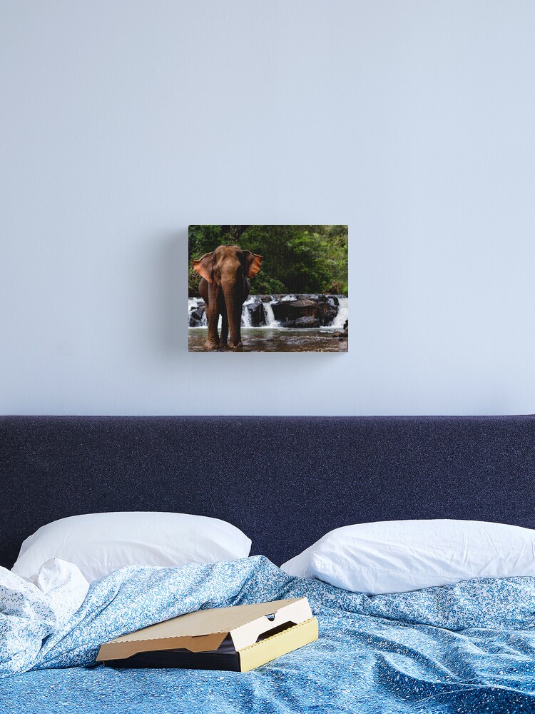 Thumbnail 2 of 3, Canvas Print, "Happy" has a bath designed and sold by darren-j-mcleod.
