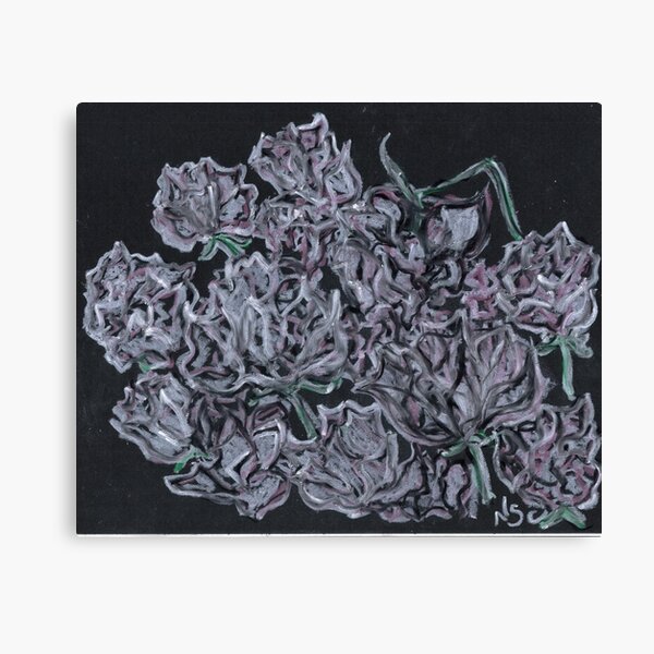 A DOZEN ROSES Canvas Print