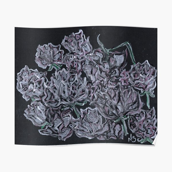 A DOZEN ROSES Poster