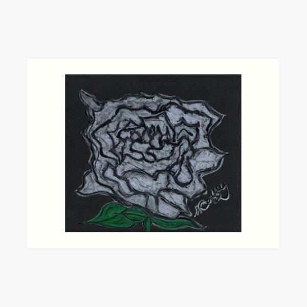 WHITE ROSE Art Print