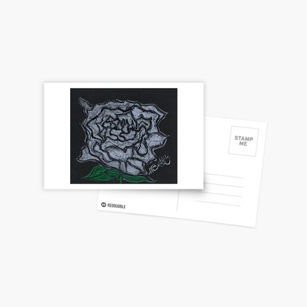 WHITE ROSE Postcard