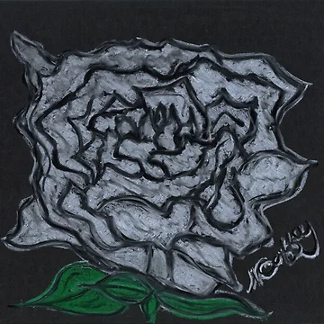 Artwork thumbnail, WHITE ROSE by NEIL STUART COFFEY