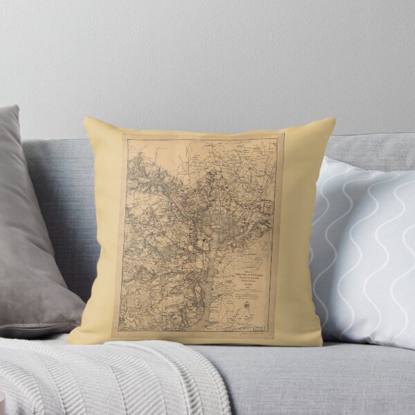 Item preview, Military Map of N.E. Virginia Showing Forts and Roads (1865) designed and sold by allhistory.