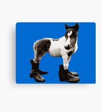 Pony Wearing Boots Canvas Print