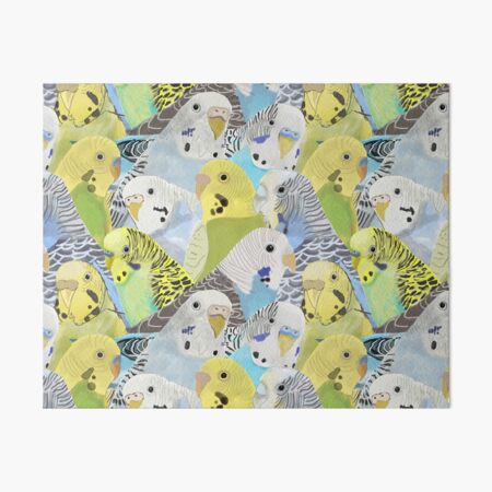 Budgie Parakeets Art Board Print