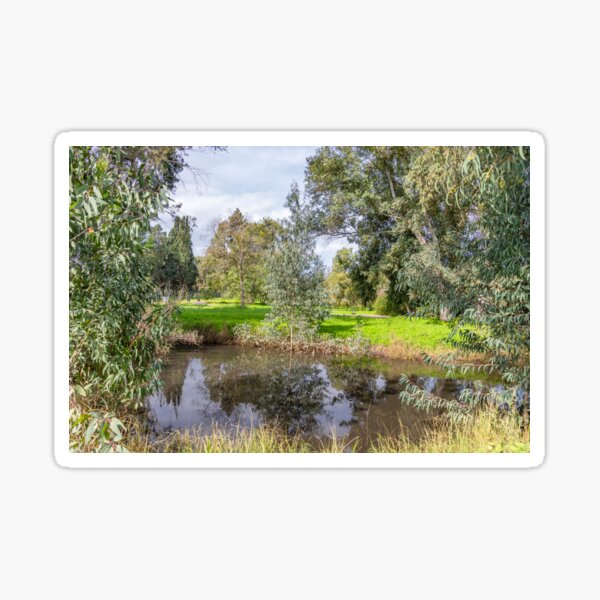 Item preview, Reflection in the water of trees and the sky with clouds surrounded by green sunny glade. Landscape designed and sold by Emma Grimberg.
