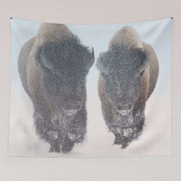 Item preview, Two Bison In Snow by OLena Art - brand designed and sold by Rocky Mountain Artistry.