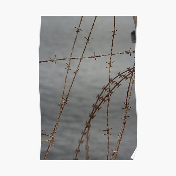 barb wire Poster