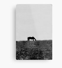 Lonely Metal Print