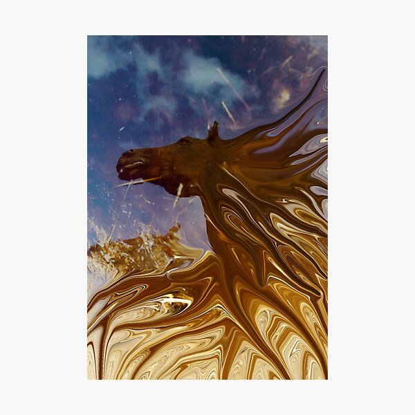 horse in the daily mirror Photographic Print
