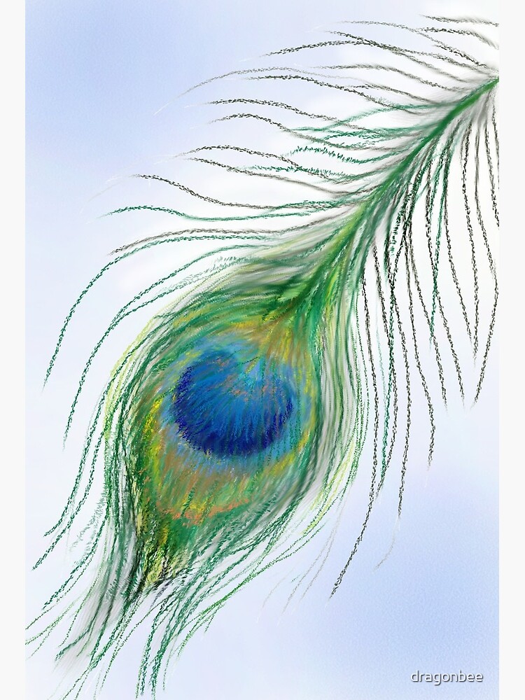 Peacock Feather Print: Digital print of an original drawing available 5x7  or 8x10
