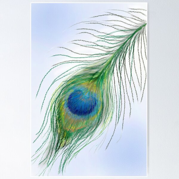 Abstract Linear Peacock Feather.Pavonine Feather peacock bird hand drawn  designer elements.Stock vector illustration isolated on white  background.Doodle clipart.:: tasmeemME.com