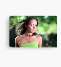 6 Canvas Print