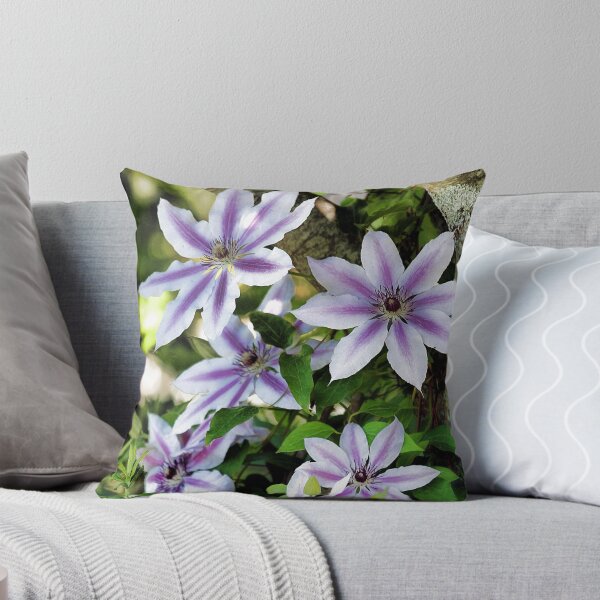 Item preview, Clematis (Nelly Moser) designed and sold by T.J. Martin.