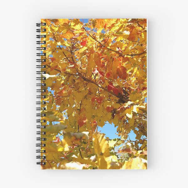 Item preview, Fall leafs designed and sold by janephotography.