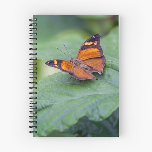 Item preview, Autumn Leaf designed and sold by PhotosByHealy.