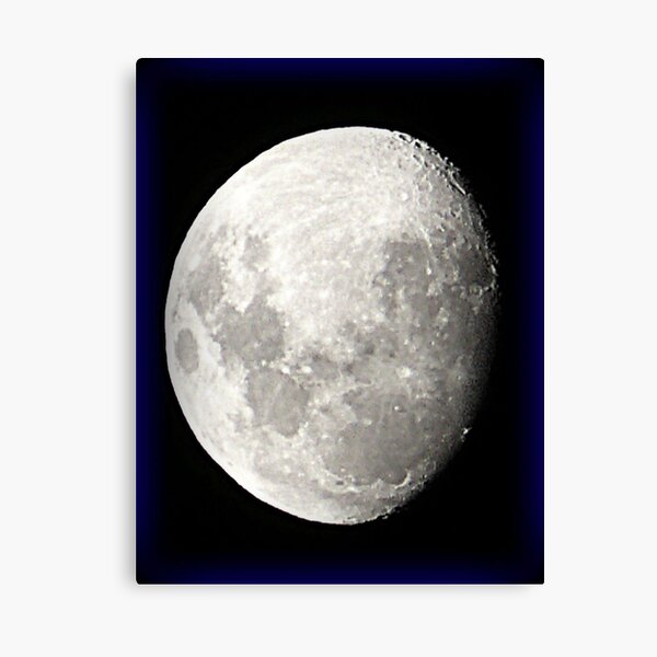 Untitled Canvas Print
