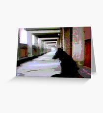Ashfield Valley Dog Greeting Card