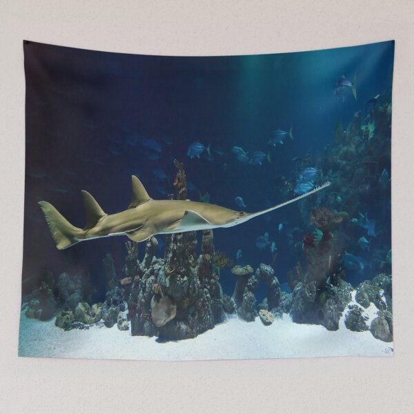 Item preview, Shark designed and sold by RedVico.