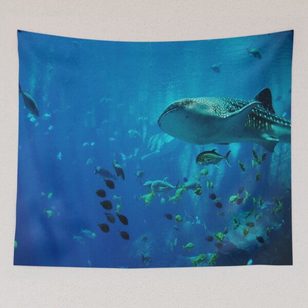 Item preview, Shark designed and sold by RedVico.